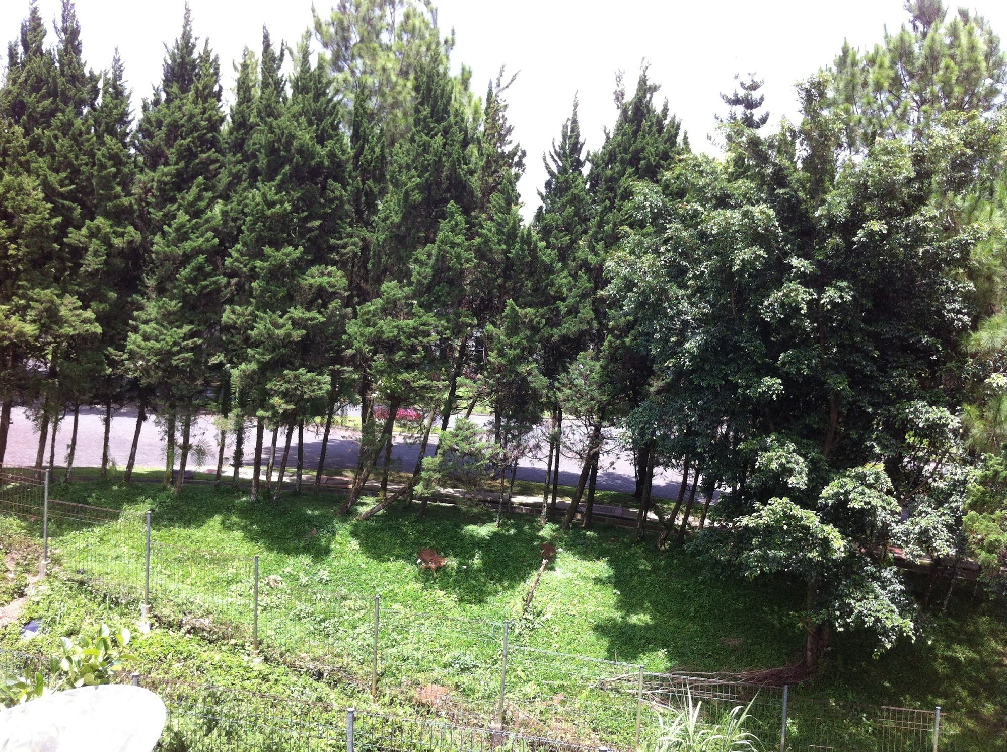 Villa Bukit Danau Lot 12 Cipanas  Exteriör bild